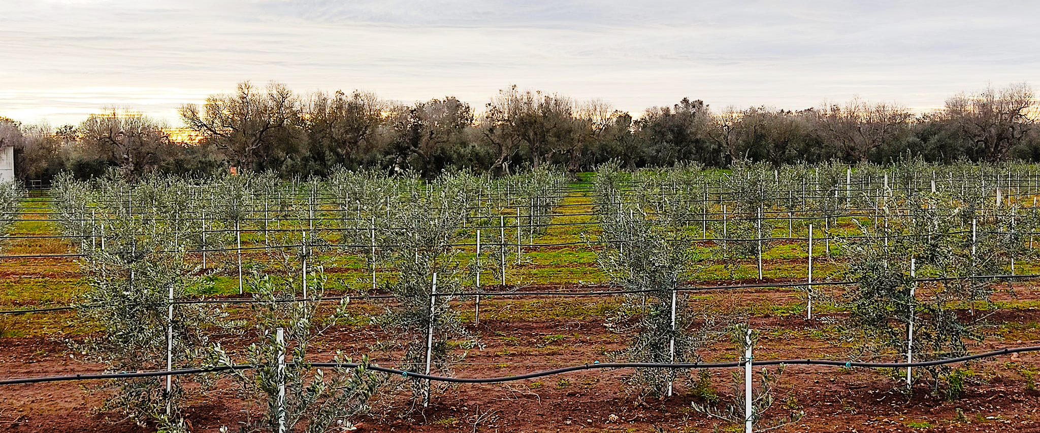 Masseria Don Egidio